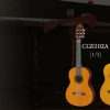 Guitar Yamaha CGS102A