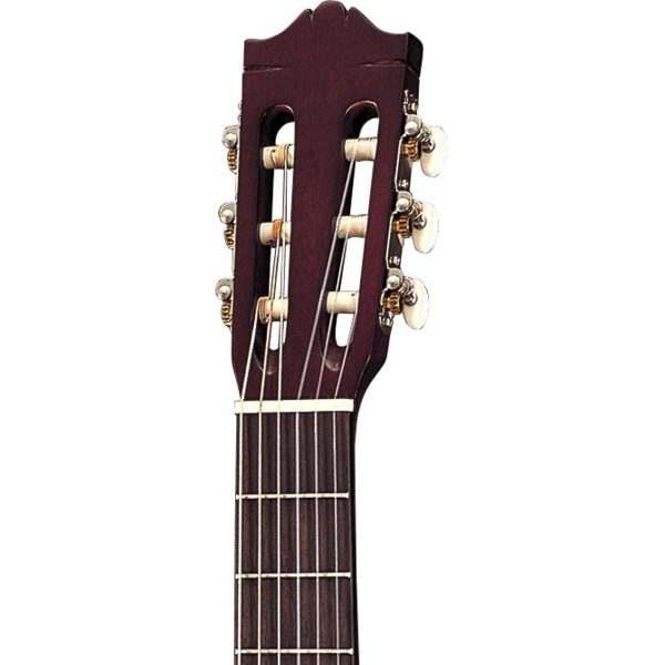 Guitar Yamaha C40