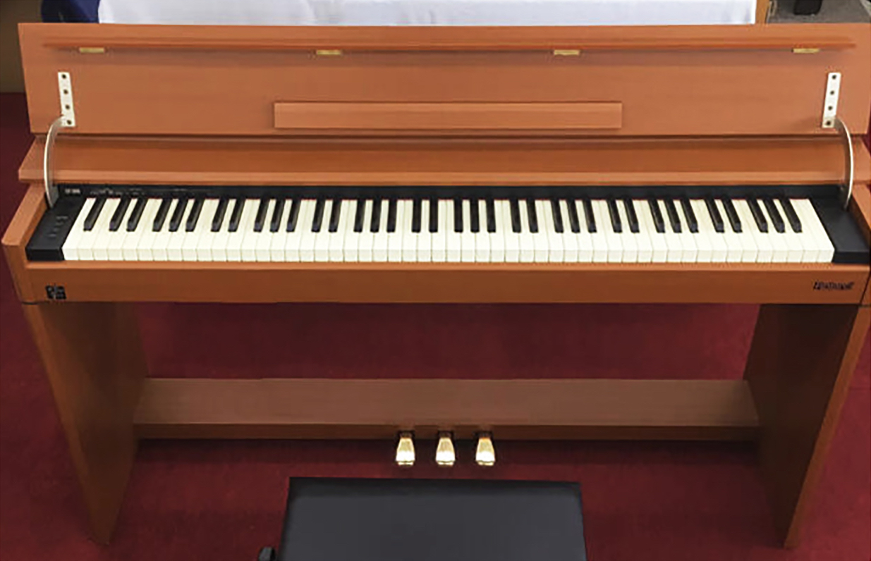 Đàn piano điện Roland DP-1000-2