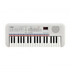 Đàn-Organ-Yamaha-PSS-E30-1