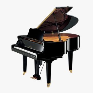 Grand piano điện lai cơ Yamaha Disklavier ENSPIRE PRO