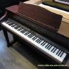Piano dien Roland HP 507GP 4